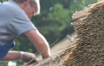 professional Griminis thatchers